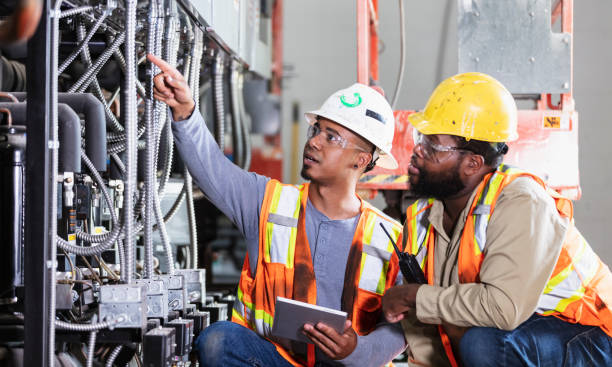 Best Affordable Electrician  in Robinhood, MS